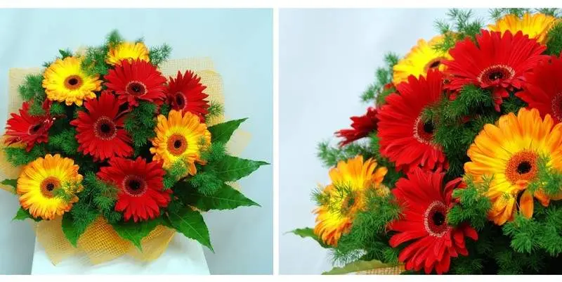 Золотой Ключик