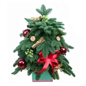 Краски Рождества